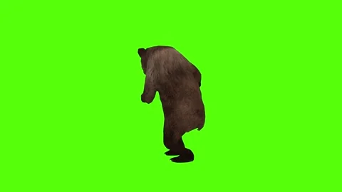 Bear Punch left Green Sccreen Animation 4k Rendering Stock Footage 296262974