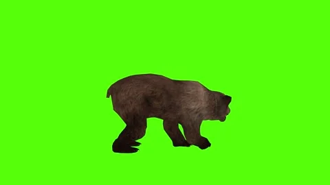 Bear Right Claw Attack Green Sccreen Animation 4k Rendering Video stock 296262981