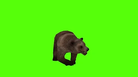 Bear Right Claw Attack  Green Sccreen Animation 4k Rendering Stock Footage 296262996
