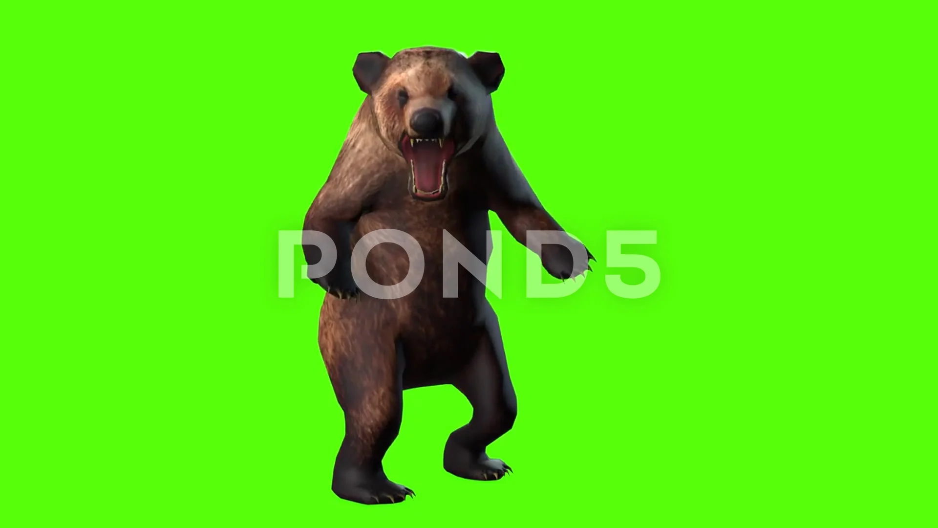 BEAR SOUND EFFECTS - Bear Roaring and Growling Sound 