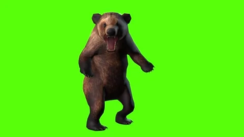 Xxx Animal Bhalu Hd Video - Bear Roar Green Screen | Stock Video | Pond5