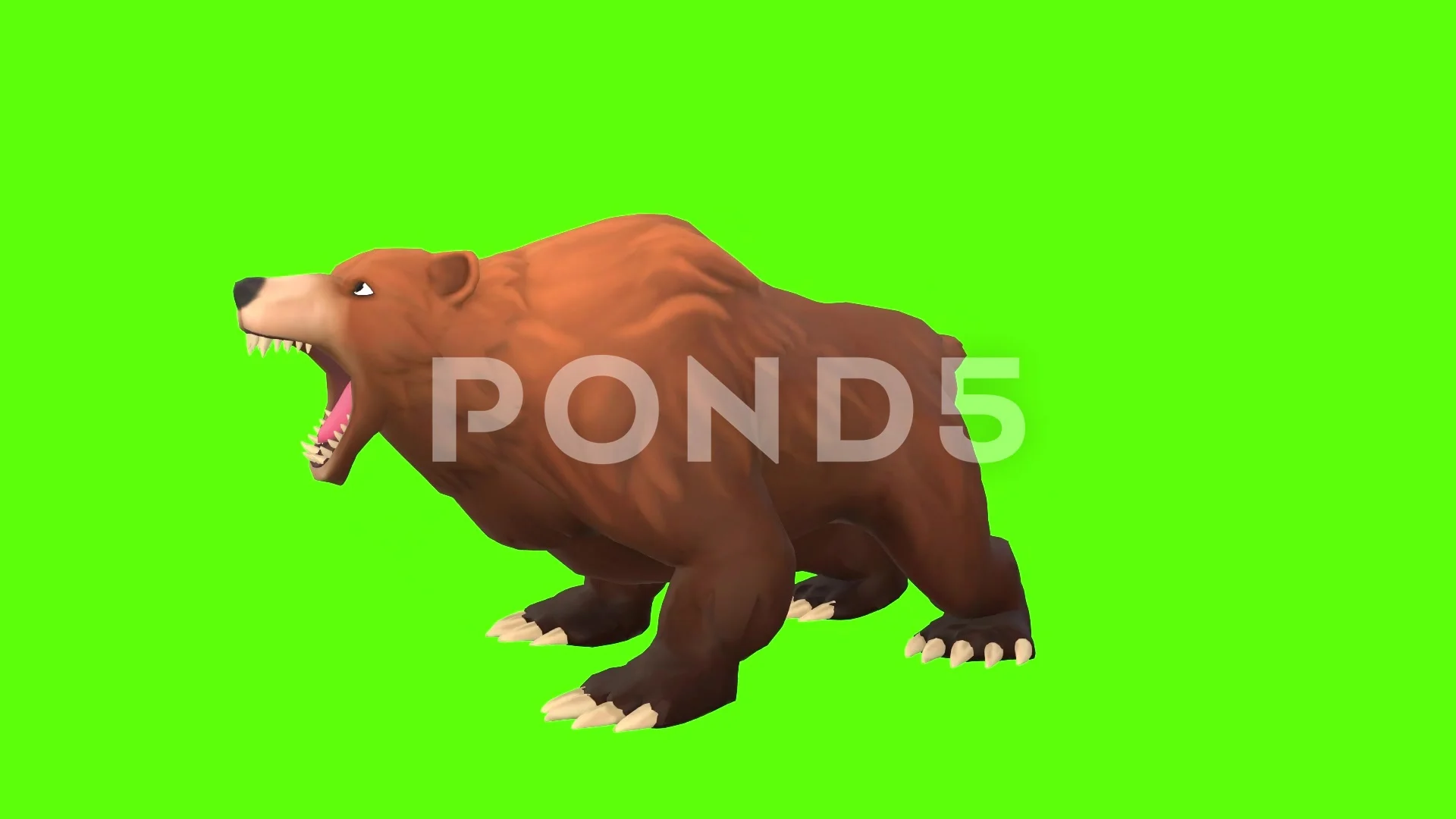 roaring bear standing cartoon