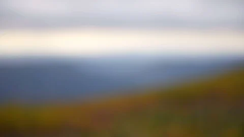 Bear Rocks valley overlook, Dolly Sods in West Virginia, focus shift view Video stock 96045737