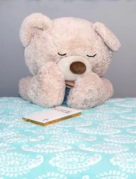 Bear saying bedtime prayers Stock Photos