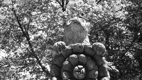 Bear sculpture between trees in the Park of the Monsters of Bomarzo Stock Footage 168705388