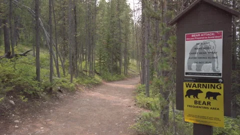 Bear Sign UHD Stock Footage 177055423