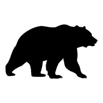 Bear Silhouette Powerful Predator Walking On White Background Illustration Ar Stock Illustration
