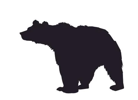 Bear, silhouette, vector Illustrazione stock