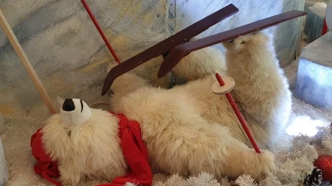 Bear on skis Stock Footage 122408119