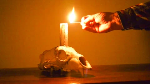 Bear skull candle light with match Stock Footage 151873540