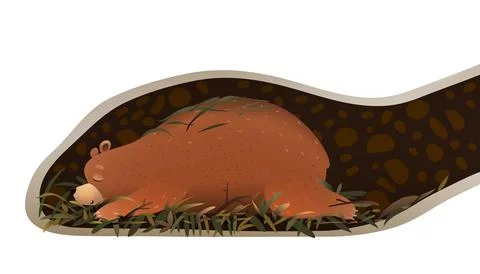 Bear Sleeping in Its Den or Burrow Underground Stock Illustration