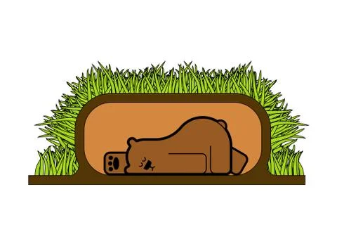 Bear sleeps in den. Beast is sleeping. vector illustration Stock Illustration