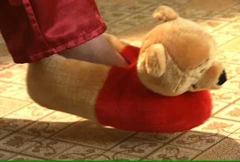 Bear Slipper Rocking Profile Stock Footage 97202176