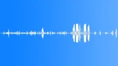BEAR Sound Effect