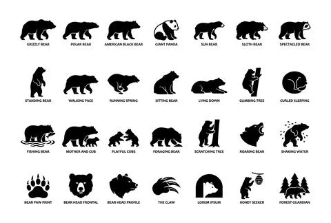 Bear species and behaviors solid icon set. Featuring grizzly, polar, panda,.. 스톡 일러스트