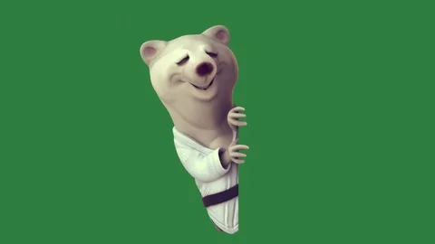 Bear Standing On Green Screen Chroma Key Background Stock-Footage 338016994