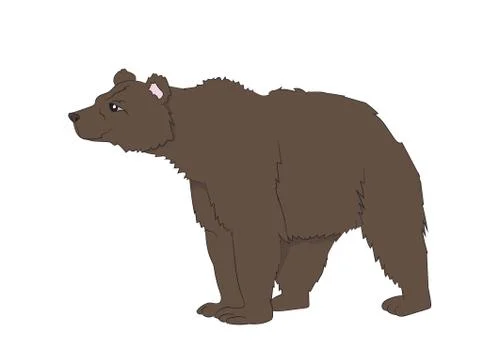 Bear stands, vector Stock Illustration