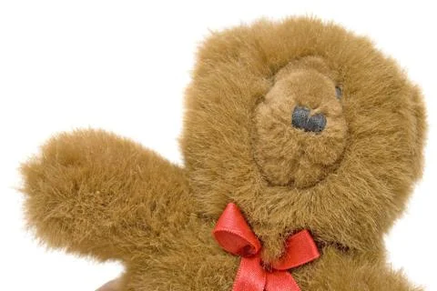 Bear toy isolated on white background Stock Photos