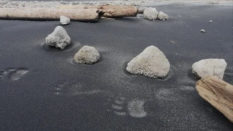 Bear tracks on the black sand beach by the white cliffs. Iturup island. 動画素材 84501771