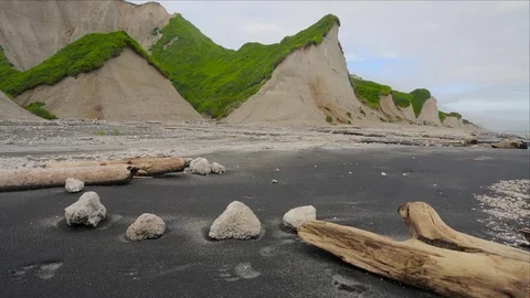 Bear tracks on the black sand beach by the white cliffs. Iturup island. 動画素材 84502823