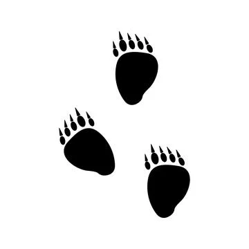 Bear tracks print trail hunter black silhouette Stock Illustration