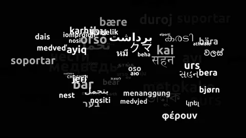 Bear Translated in 76 Worldwide Languages Endless Looping 3d Zooming Wordclou Stock-Footage 145200643