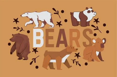 Bear vector wild animal character brown grizzly panda she-bear and polar bear Stock Illustration