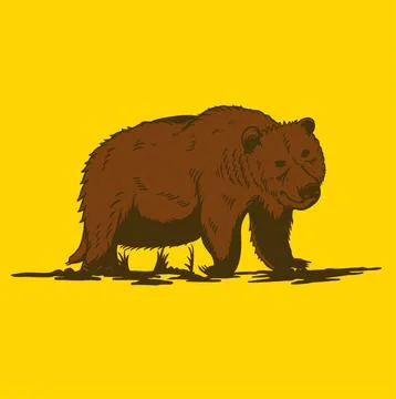 BEAR WALKING Stock Illustration