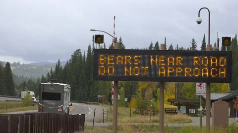 Bear warning sign.4K Stock Footage 164123541
