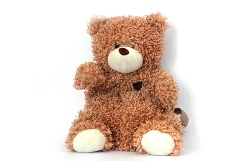 Bear on a white background. Backpack Stock Photos