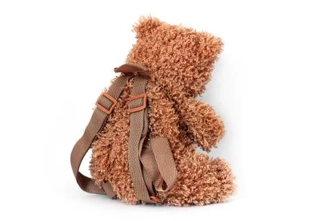 Bear on a white background. Backpack Foto stock
