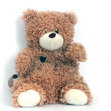 Bear on a white background. Backpack Stock Photos