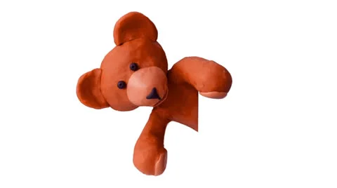 Bear with a white panel (including alpha matte) - 2. Stock Footage 26107571