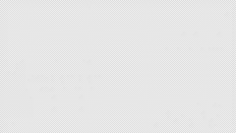 Bear wipe Transitions. 1080p - 30 fps - Alpha Channel (5) Stock Footage 256080743