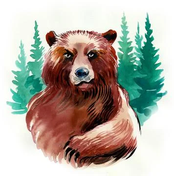 Bear in woods Illustrazione stock