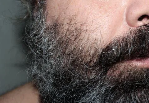 Beard and mustache Stock-Fotos