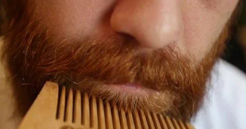 Beard comb Vídeos de archivo 52205233