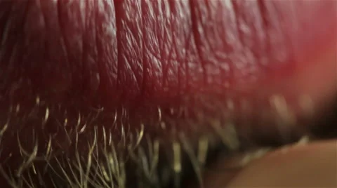 Beard Scratching Macro Vídeos de archivo 44324439