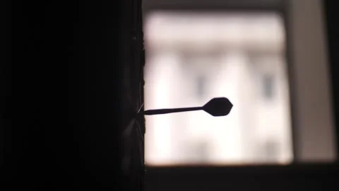  Beard Throws Darts Stock Footage 249084295