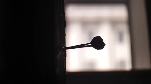  Beard Throws Darts. Stock Footage 249084324