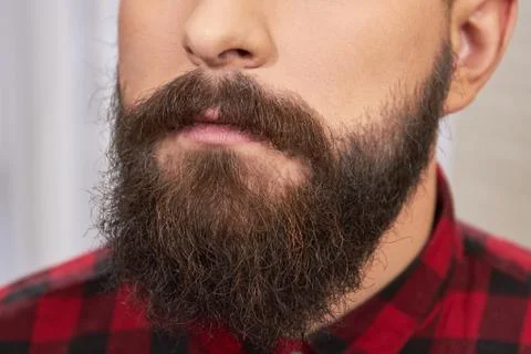 Beard of a young man. Stock Photos