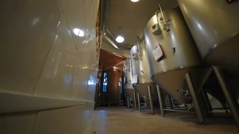 Bearded brewer man on a background of beer tanks and a brewery making notes in a Vidéo 99979531
