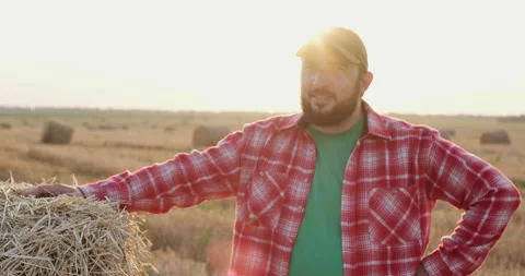 Bearded farmer leans on haystack looking around in field Stock Footage 160819304