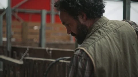 Bearded Farmer Putting Hay into Barn Stall with Pitchfork Stock Footage 342034711