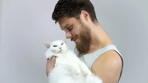 The bearded guy is holding his beloved pet.Favorite cat with different eyes. Stock Footage 122320672