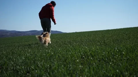 Bearded guy playing with his dog, walking Stock Footage 126358846