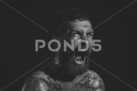 Bearded hipster with angry face shout on black background Stock Photos