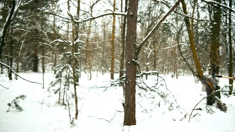 Bearded man with axe Video stock 99765818