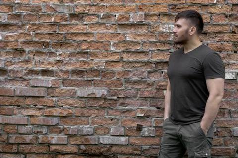 Bearded man on a background of a brick wall. Stock Photos