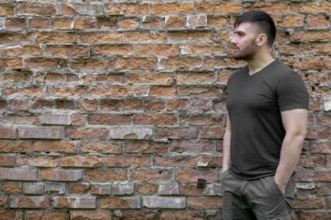 Bearded man on a background of a brick wall. Stock Photos